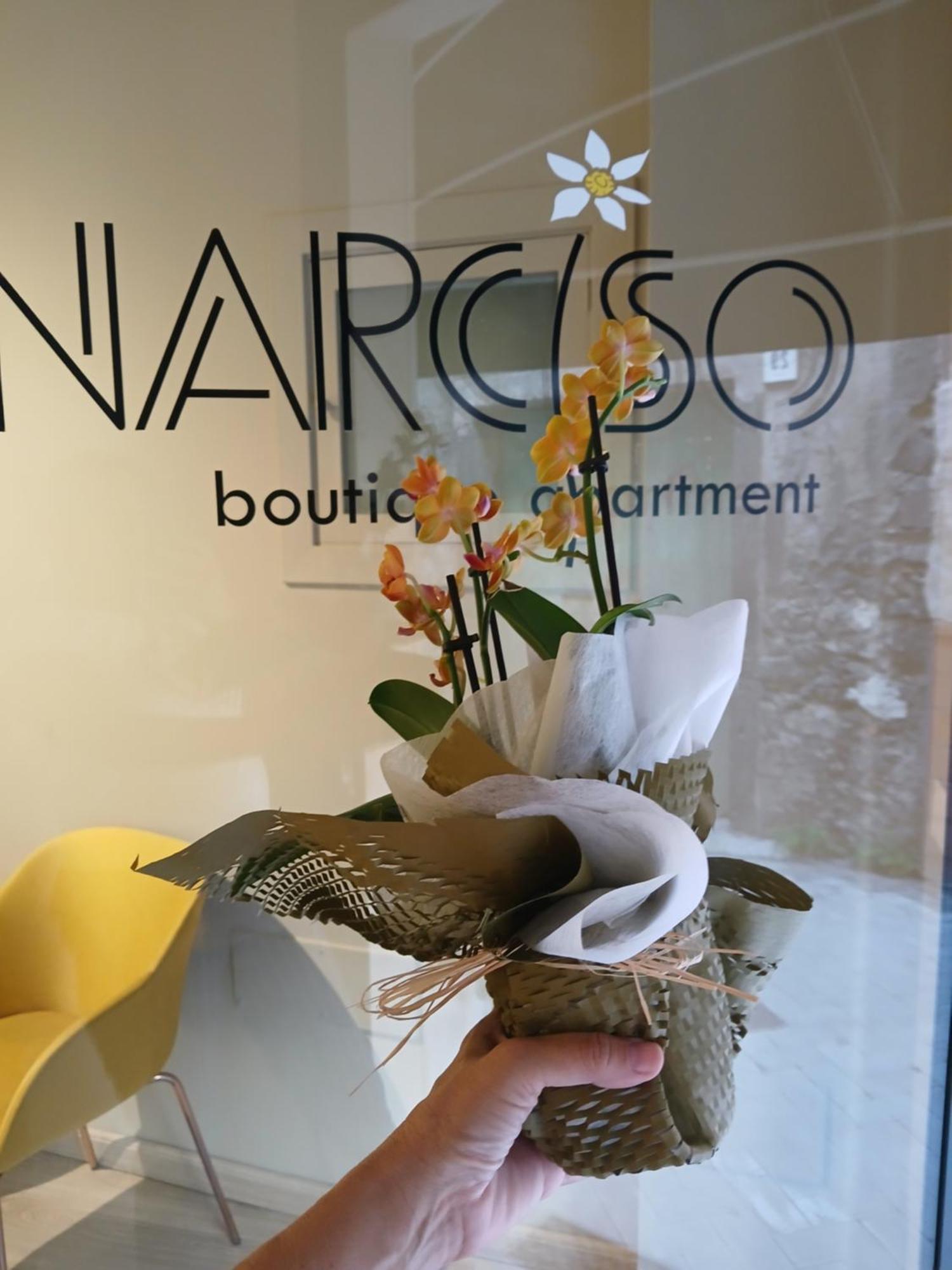Narciso Boutique Apartment Acireale Εξωτερικό φωτογραφία